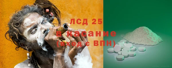 прущие грибы Алексеевка